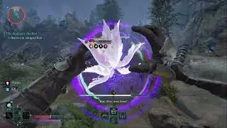 Avowed [09] Story Mission The Animancy Method Part 3