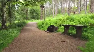 A walk around the Gibside, North East England