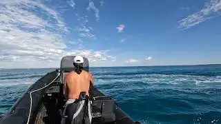 Shit boat or Not Shit boat