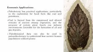 Introduction to Paleo Botany