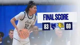 SCSU Men's Basketball Highlights vs Felician