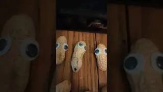 #shorts Somebody's Watching - Googly Eyes 👀 Part II