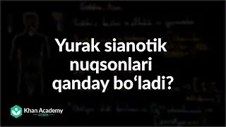 Yurak sianotik nuqsonlari qanday boʻladi? | Siyanotik yurak kasalliklari | Tibbiyot