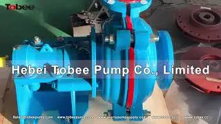Tobee 4x3C AH PU Horizontal Slurry Pump with Expeller Seal