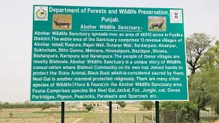 Details about Abohar wildlife sanctuary area