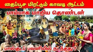 தைப்பூசத்தில்  உச்சகட்ட பரவச காவடி ஆட்டம் / யாழ்  பெண்களின் மெய்சிலிர்த்த பால்குடப்பவனி 