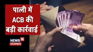 Pali News | पांच हज़ार की रिश्वत लेते पटवारी Trap, Document Correction के एवज में मांगी थी घुस