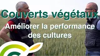 Les couverts végétaux : pour améliorer la performance des cultures
