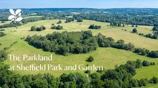 The Parkland at Sheffield Park and Garden, East Sussex