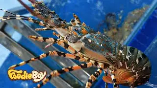 Удивительный! Вьетнамская уличная еда из морепродуктов, подборка