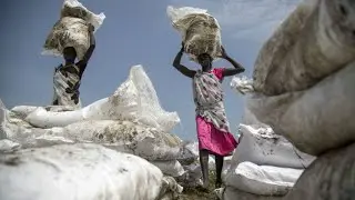 World Food Programme warns of 'biblical' famine