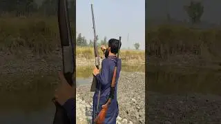 Bird Hunting Action!