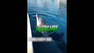 Ronaldo X Dolphin 🐬