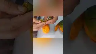 Mango magic hands 🖐️ #Shorts #Mango #Skills