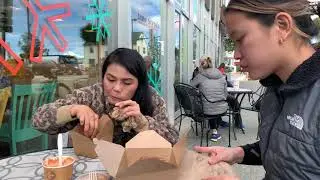 Our Alaskan Airbnb , Anchorage Downtown  Porter Marsh , Alaska Wildlife Conservation Center 4K 60fps