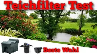 ᐅ Teichfilter Test 2025 | Die besten Teichfilter vorgestellt