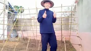 ធ្វើទ្រើងដាំដើរម្រះ|Make a walking stick