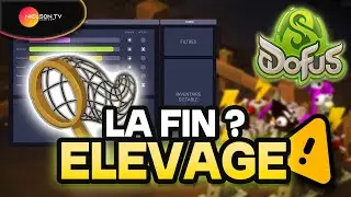 DOFUS : Ankama va D&Eacute;TRUIRE l&rsquo;&Eacute;LEVAGE ? Une Refonte Controvers&eacute;e !