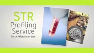 Watch Video: ATCC makes STR easy