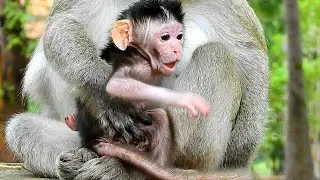Newborn baby Jody call his sister Janna come to play, Jody have 2 day old only