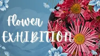Flower Exhibition || BHU 🌺🌻🌹🌷