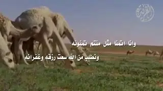 شيلة سهيل بين   للمنشد ابوعسكر السليمي   كلمات  عواد بن عوض السليمي
