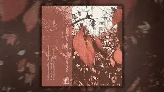 nostalgique / home is in your arms - nostalgique / home is in your arms (Split) (2025)