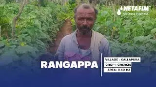 Discover how Tarikere Lift Irrigation Scheme, of Karnataka&rsquo;s Upper Bhadra Project transforming lives