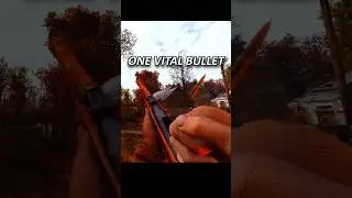 One Bullet Can Change The World #stalker #stalker2 #gamma #stalkeranomaly #stalkergamma #anomaly