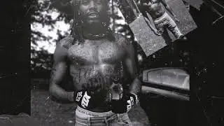 Fetty Wap - Exotic (Full King Zoo Snippet)