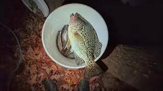 pesca de crappie en northe carolina