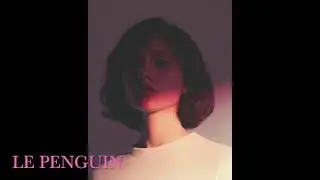 Le Penguin -  Post Rock Compilation Vol 3