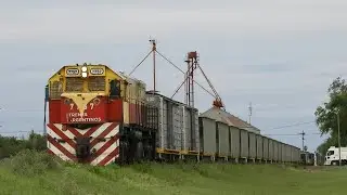 OPERATIVO RECUPERACION DE ESPINAS EN UN VACIO - Devoto, C&oacute;rdoba