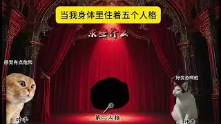 觀眾要的魑魅魍魎來了 #貓meme #魑魅魍魎