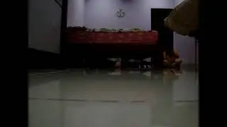 Bonnie (Yorkshire Terrier) barking
