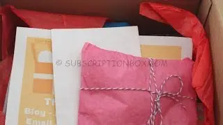 Magic Monthly Box Review + Disney Bow Giveaway - Disney Subscription Box