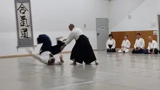 Stage di Aikido - Vittorio Locandro - Torino, 10-05-25 - Spiegazioni pomeriggio