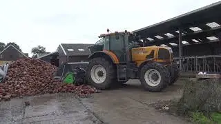 MAIS HAKSELEN VOEDERBIETEN SNIPPEREN RENAULT ATLES 936 RZ CLAAS ARION 660 CASE PUMA 185 CVX