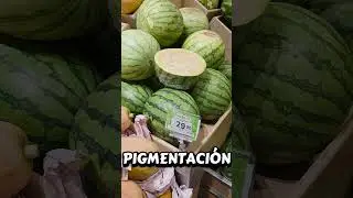 sand&iacute;a AMARILLA 🍉🌈