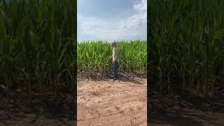 Farm jokes Pt.1 #funny