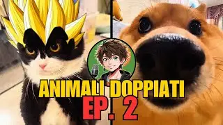 ANIMALI DOPPIATI 🐱🐾 EP. 2