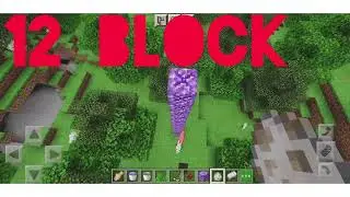 HOW MANY BLOCK THE DOG SURVIVE #SHORT
