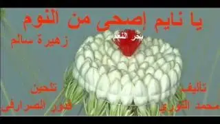 يا نايم اصحى من النوم . . .  زهيرة سالم