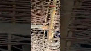 How to make organic wood 🪵 Wall #orginal #organic #wood #wall