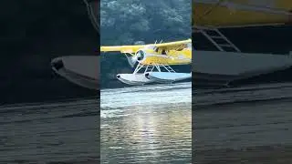 De Havilland Beaver Float plane