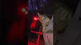 Bushcraft Camp In Sub Freezing Temps #camping #bushcraft #survival