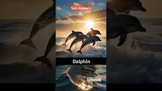 Sea Animals | Sea Animals Name | Sea Creatures | #shorts #vocabulary #fish