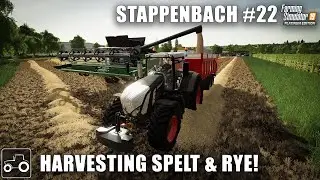 Harvesting Spelt, Rye & Triticale - Stappenbach #22 Farming Simulator 19 Timelapse