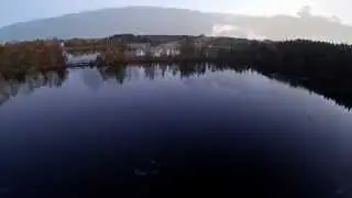 Lake Barnegat & Iris +