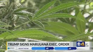 President Trump signs Executive Order to reclassify marijuana